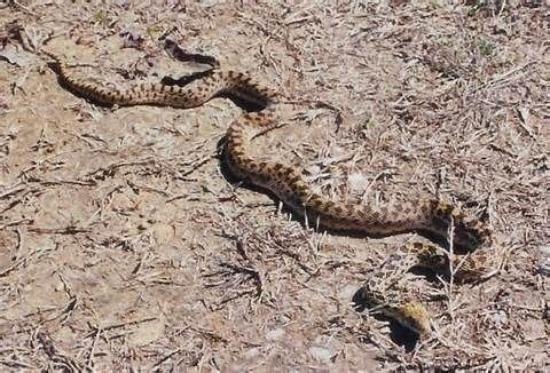 Comanche Nation Waterpark